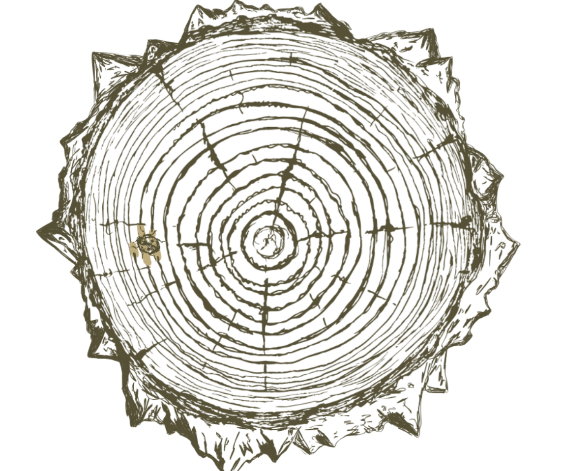 Rooted Wear Art